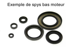 Centauro -oliekeerafdichting Set 731A130SR