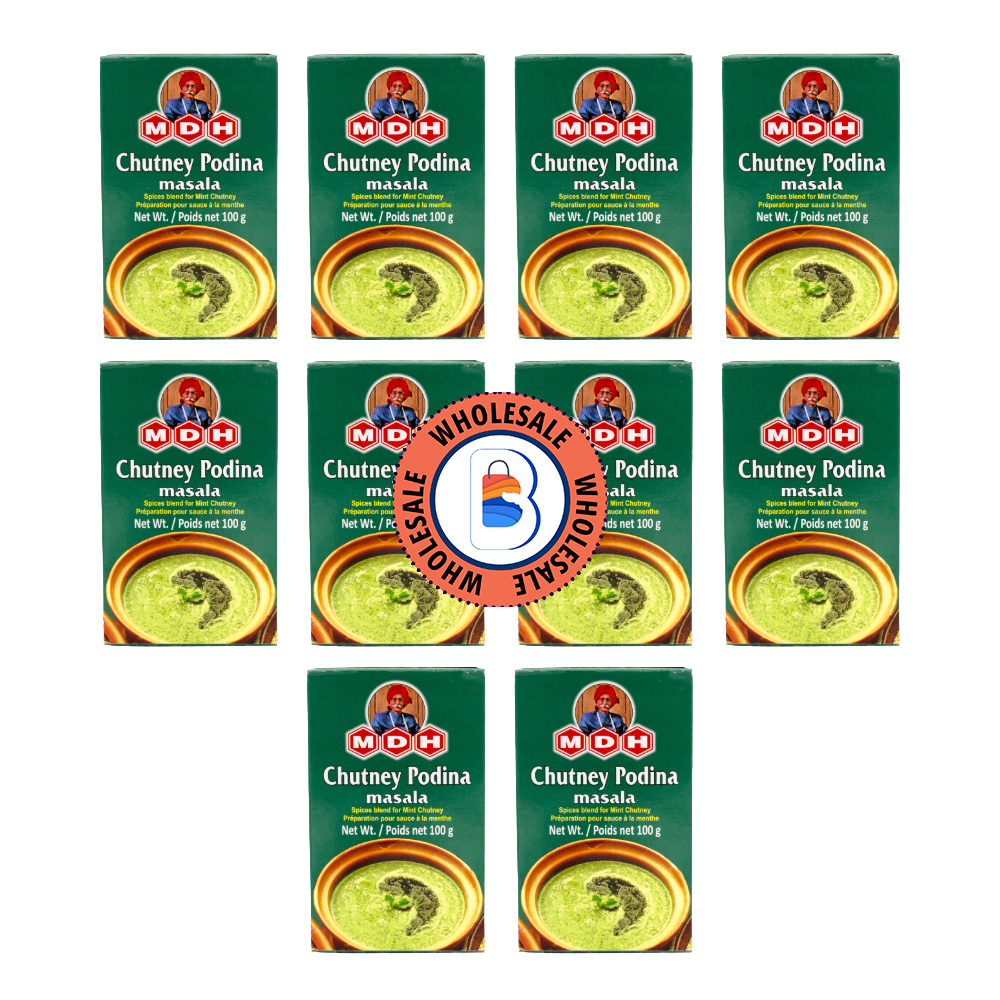 MDH Chutney Podina Masala – 100g x 10 Pack | Wholesale Indian Spice Mix