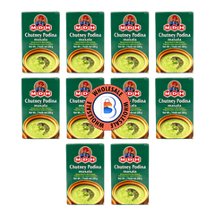 MDH Chutney Podina Masala – 100g x 10 Pack | Wholesale Indian Spice Mix