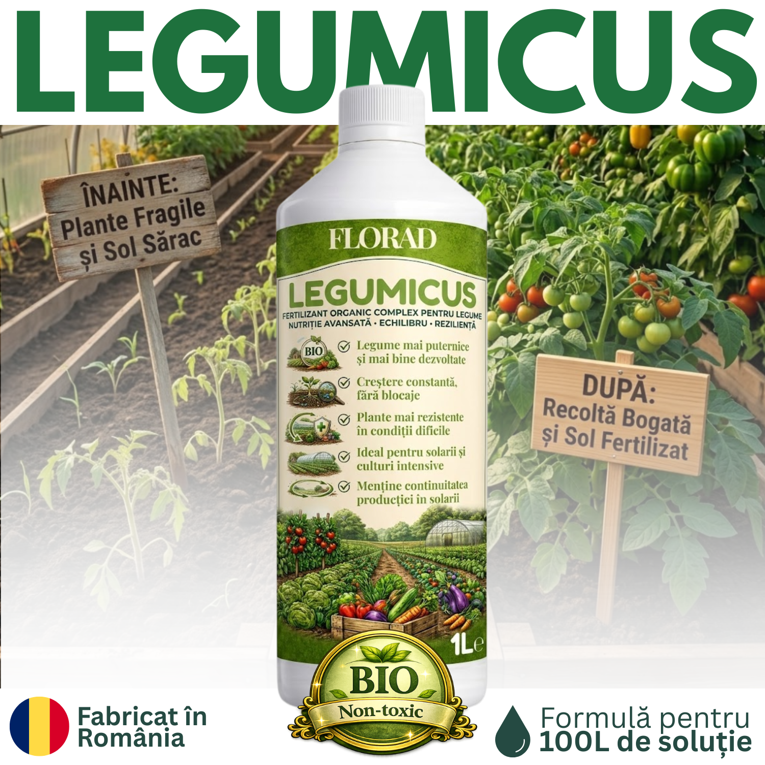 LEGUMICUS
