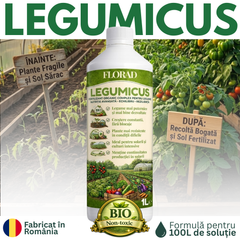 LEGUMICUS