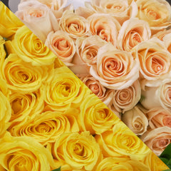 Yellow & Peach Roses