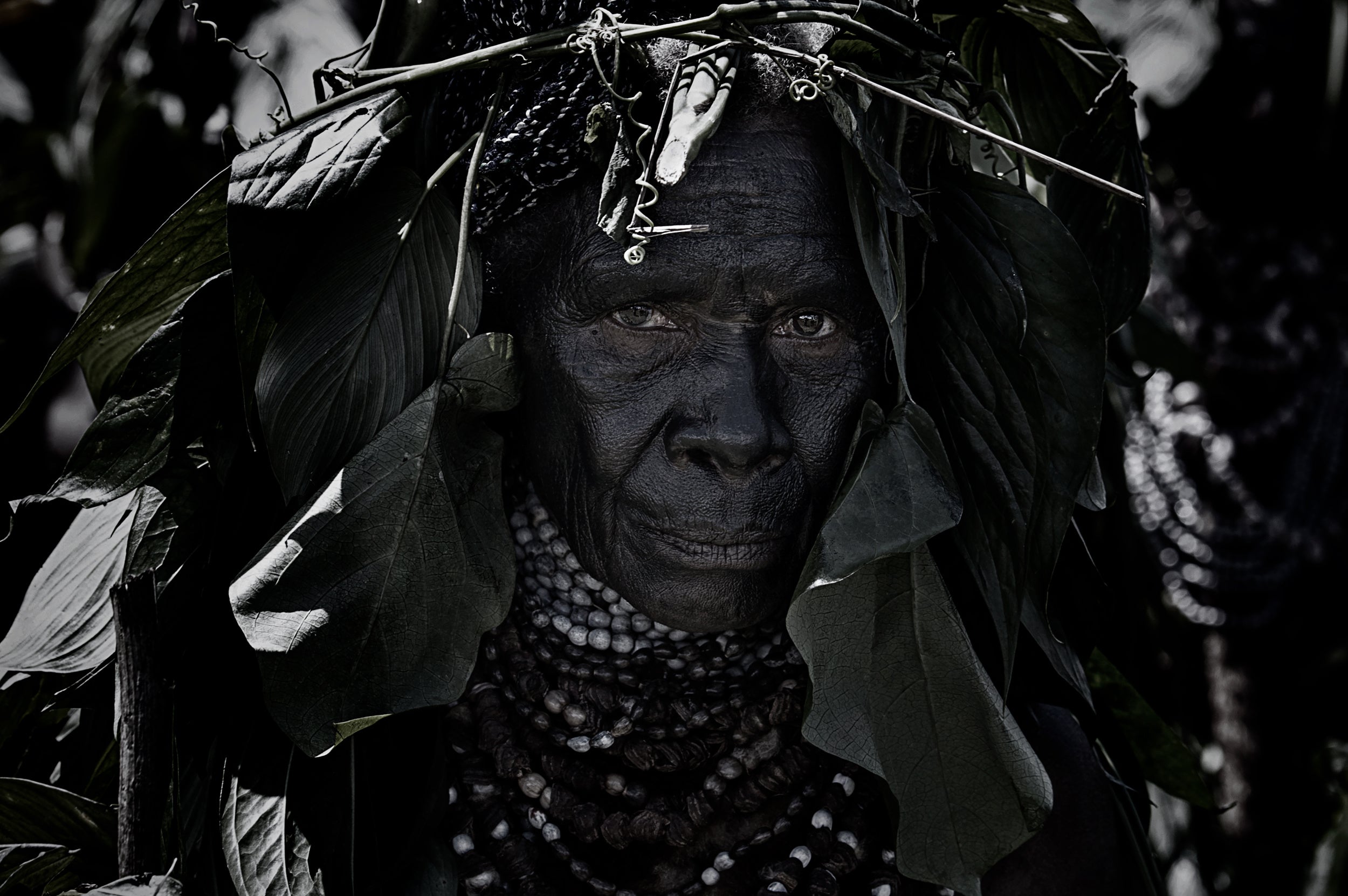 At the Mt Hagen sing sing festival-I - Papua New Guinea Poster och Canvastavla