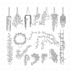 CAD and Vector Hanging Plants Set (Front + Side view) - Post Digital Architecture — Free and Affordable Resources for Architects