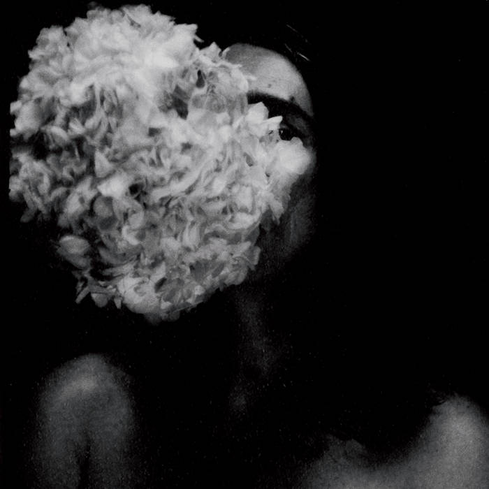 CLOUD CANYONS - Dreaming Of Horses Running In Circles LP