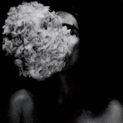 CLOUD CANYONS - Dreaming Of Horses Running In Circles LP