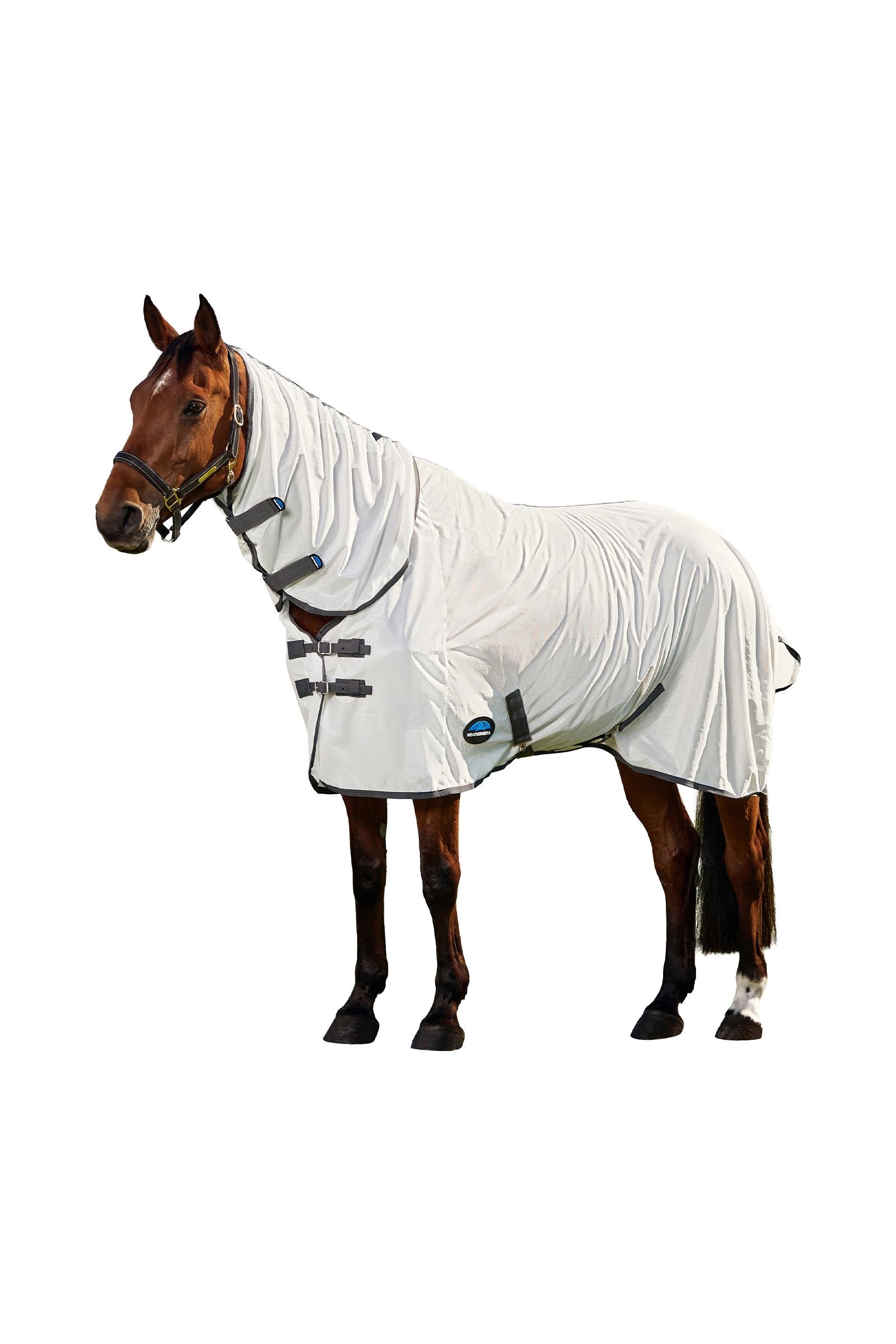 Weatherbeeta Comfitec Tyro Fly Sheet Combo W. Fixed Neck, 0g Horse Rugs
