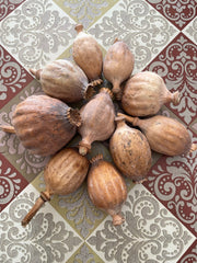 Poppy pods