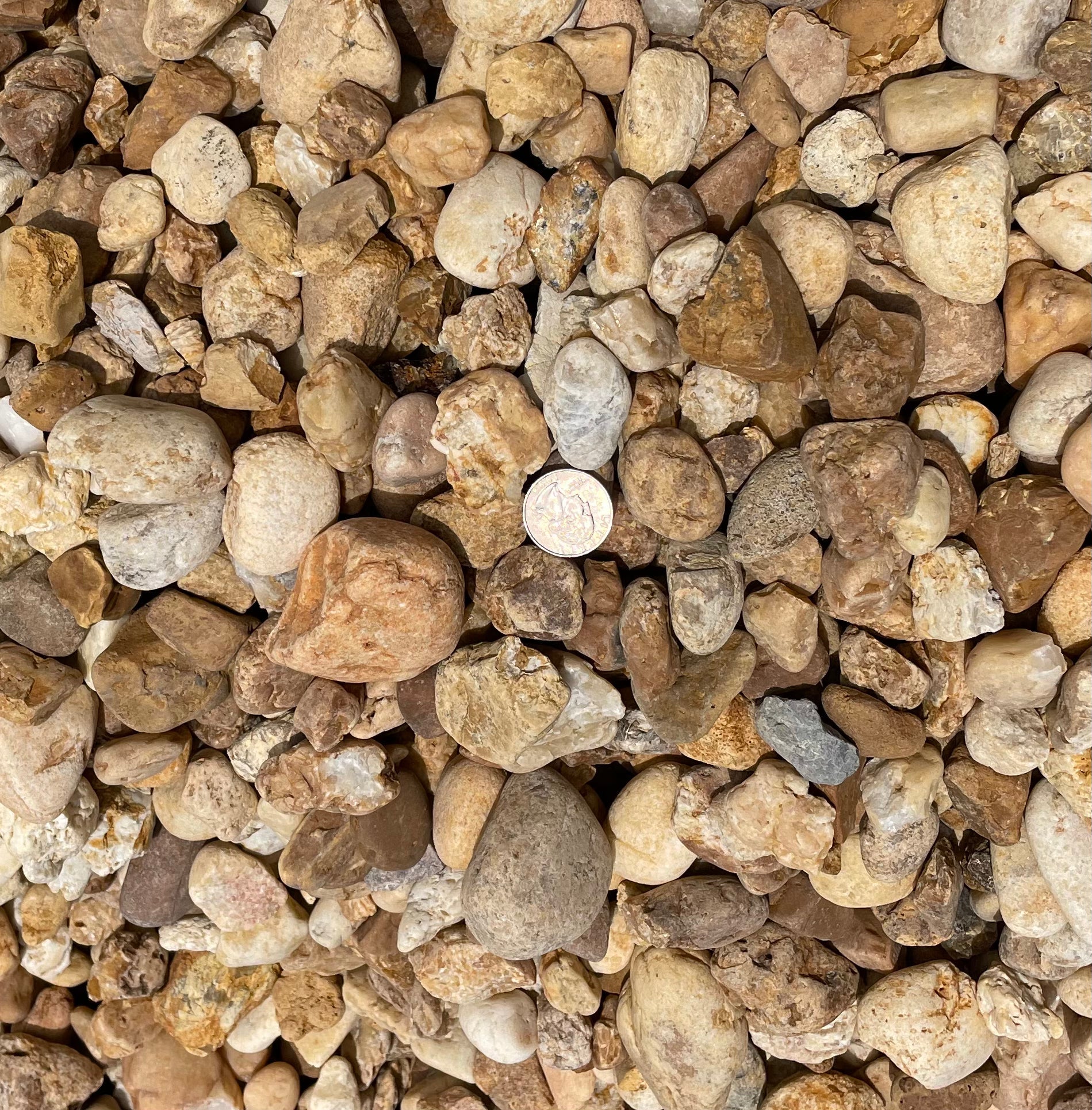 Brown River Rock 1.5"