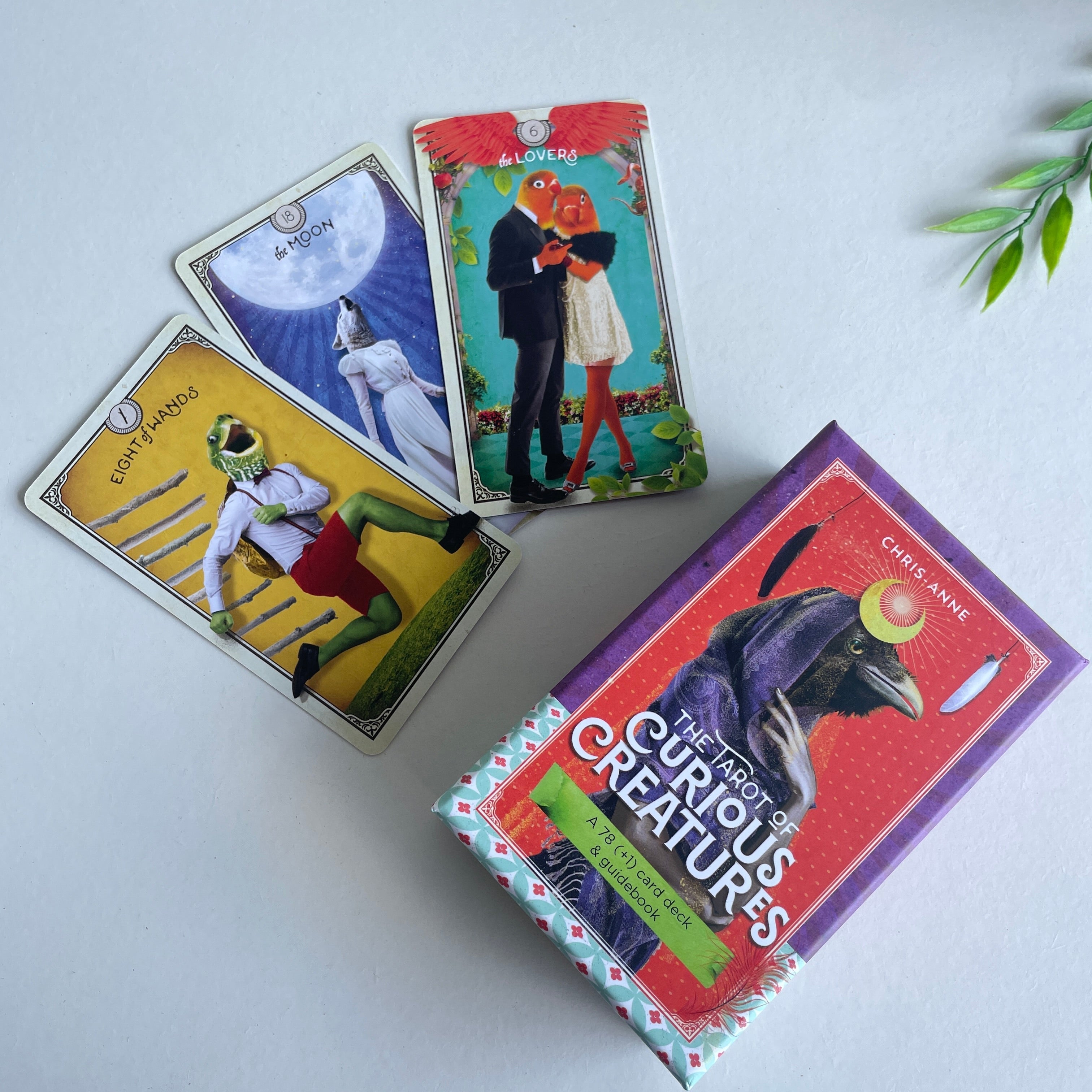 Tarot Of Curious Creatures Chris Anne