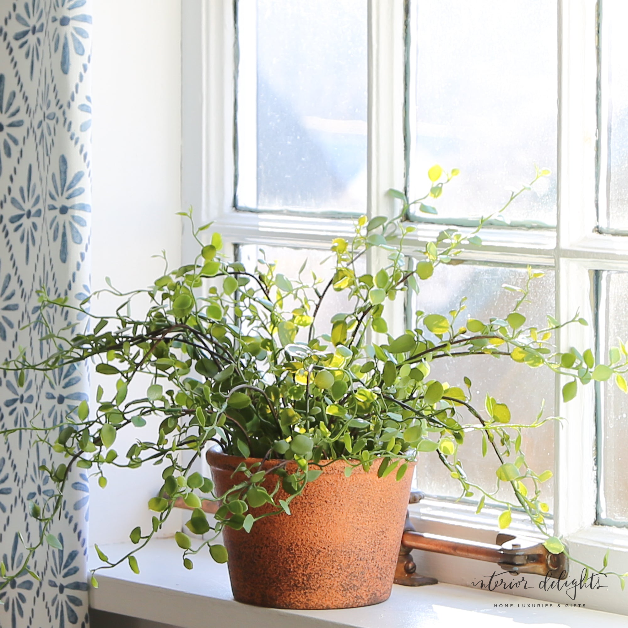 Potted Angel Vine in a charming garden pot, showcasing a lifelike and bendable design, perfect for adding greenery to any space.