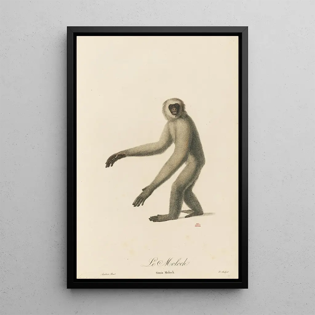 JeanBaptiste Audebert - Le Moloch.webp