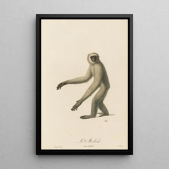 JeanBaptiste Audebert - Le Moloch.webp