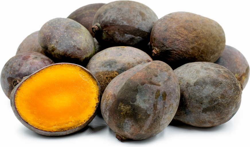 Kasturi Mango Fruit Plant - Mangifera Indica