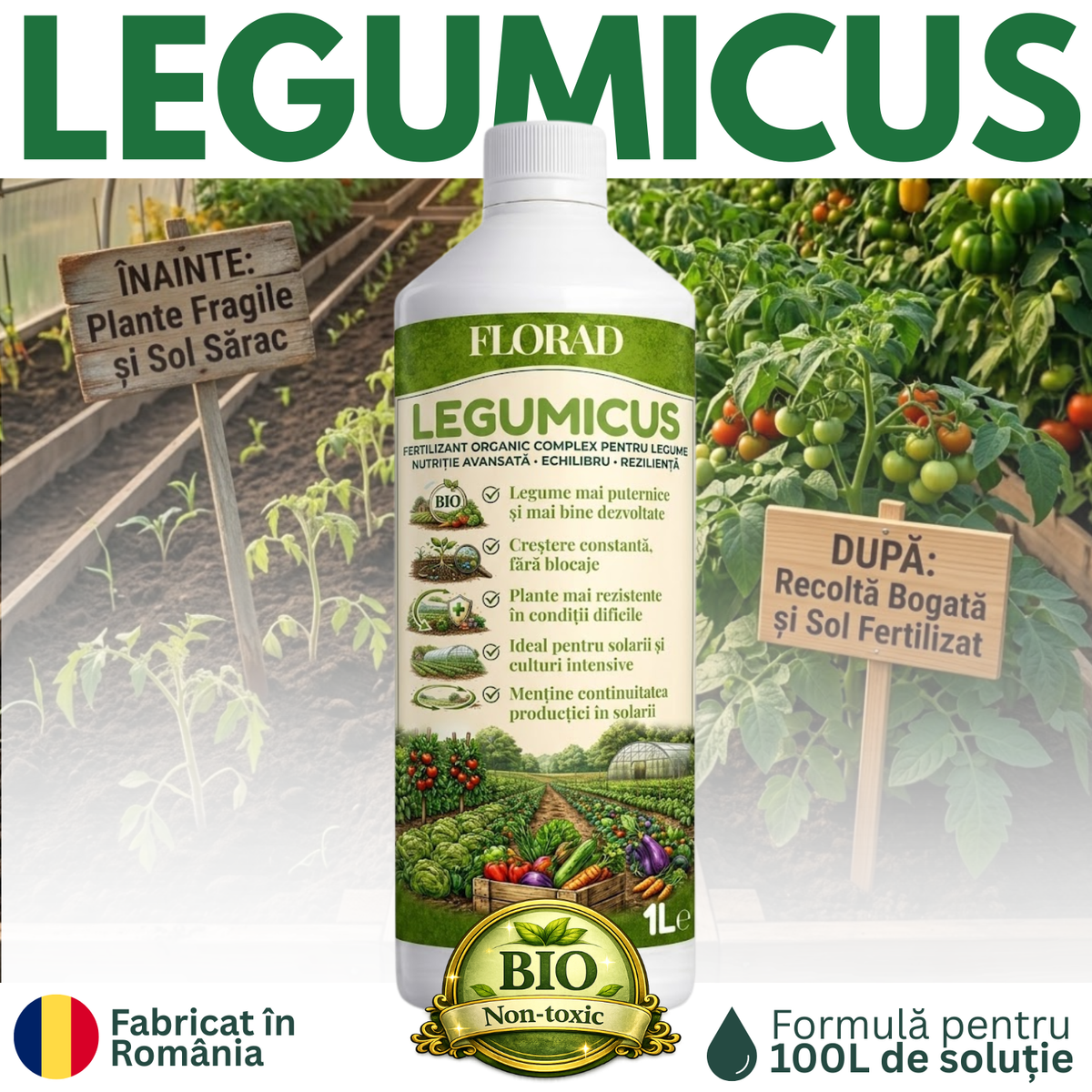 LEGUMICUS