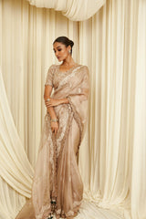 Champagne Tissue Saree | Saree | Mokshaa