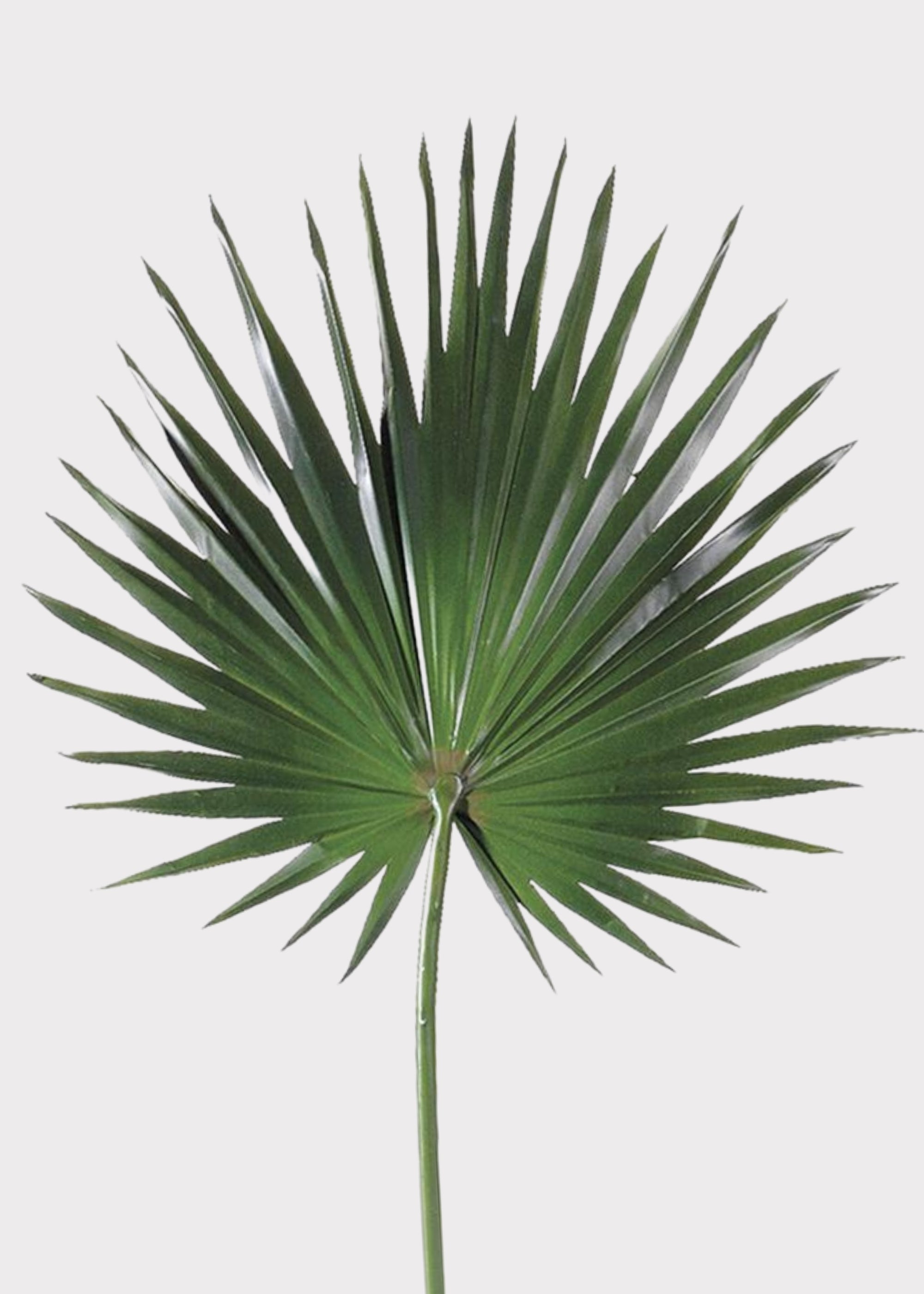 Artificial Fan Palm Leaf