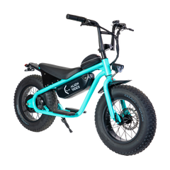 AR Atom 1000 Watt Mini Electric Bicycle