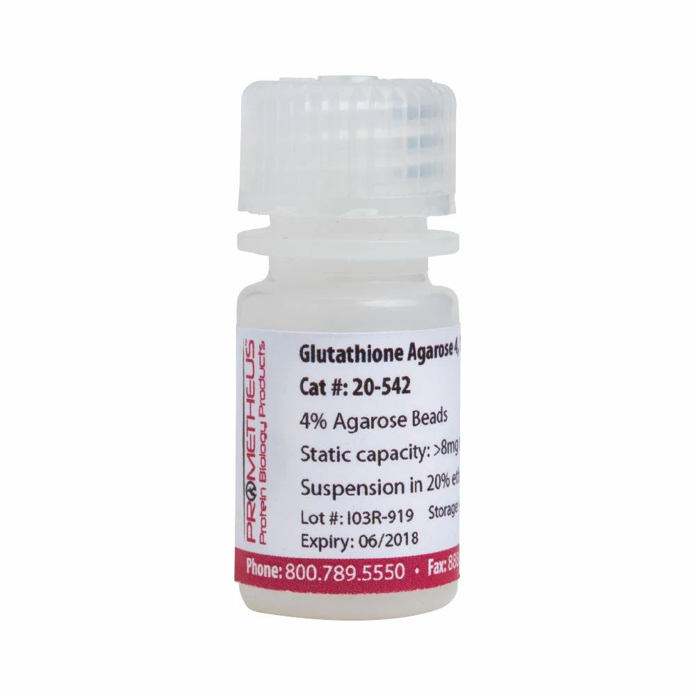 Glutathione Agarose 4B 4% Agarose Beads