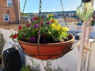 Terracotta plastic garden planter bursting with colorful blooms, hanging outdoors near a white fence and brick buildings in sunlight.
