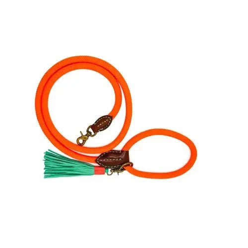 Laisse Classic Carrot Cake - DOG WITH A MISSION - DOG DéliCAT
