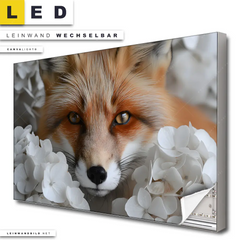 Led Leinwandbild Friedlicher Fuchs Und Blumen Querformat Produktvorschau