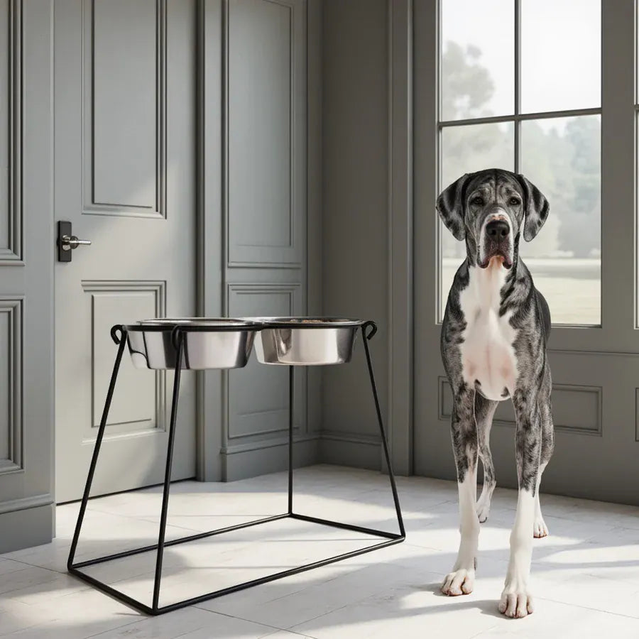 Petsstop Pyramid dog dining station extra tall black with great dane
