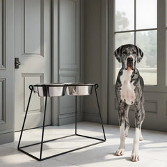 Petsstop Pyramid dog dining station extra tall black with great dane